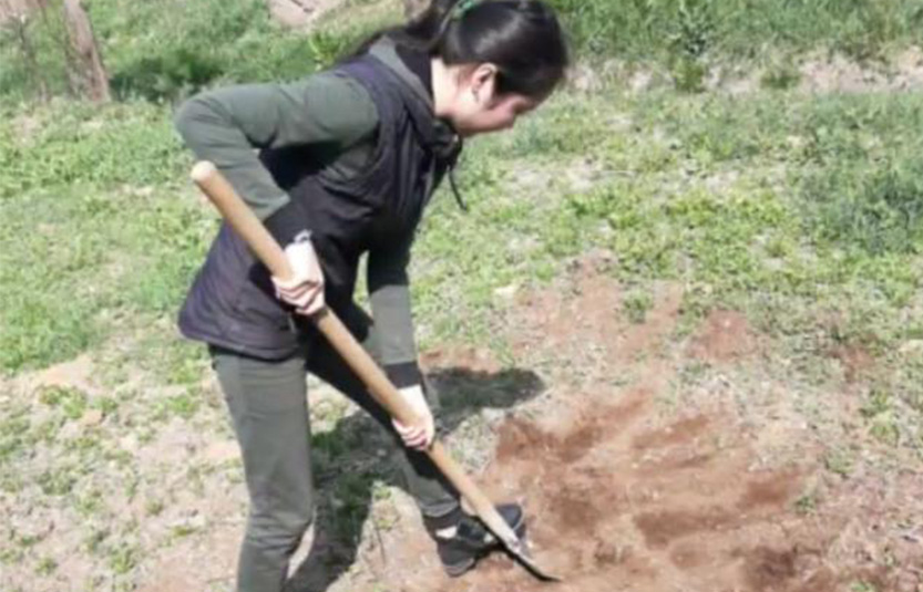 image_article