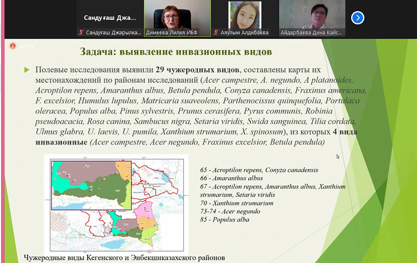 image_article