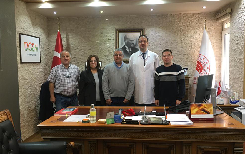image_article